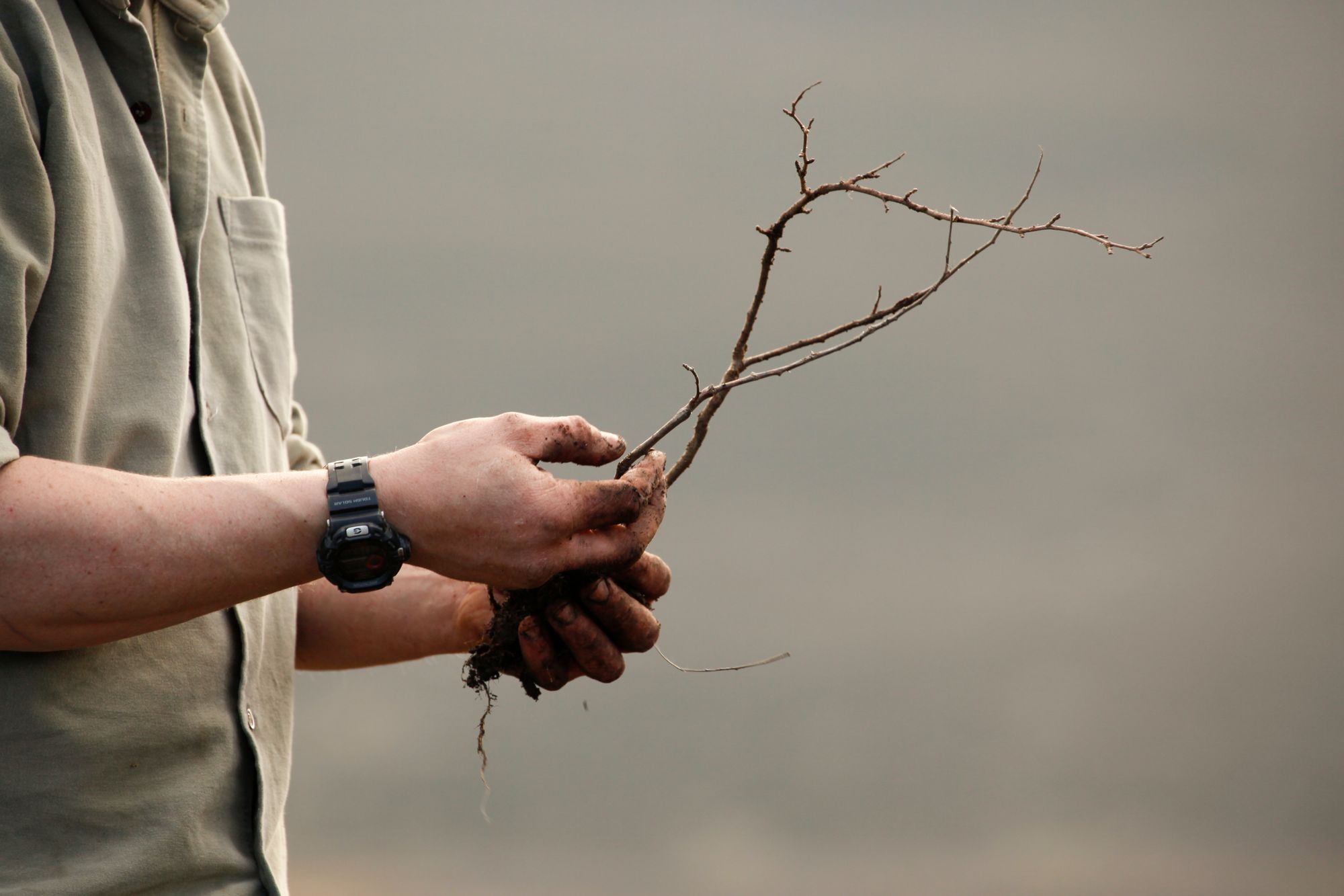 Thousands of new trees will give Devon better protection from flooding