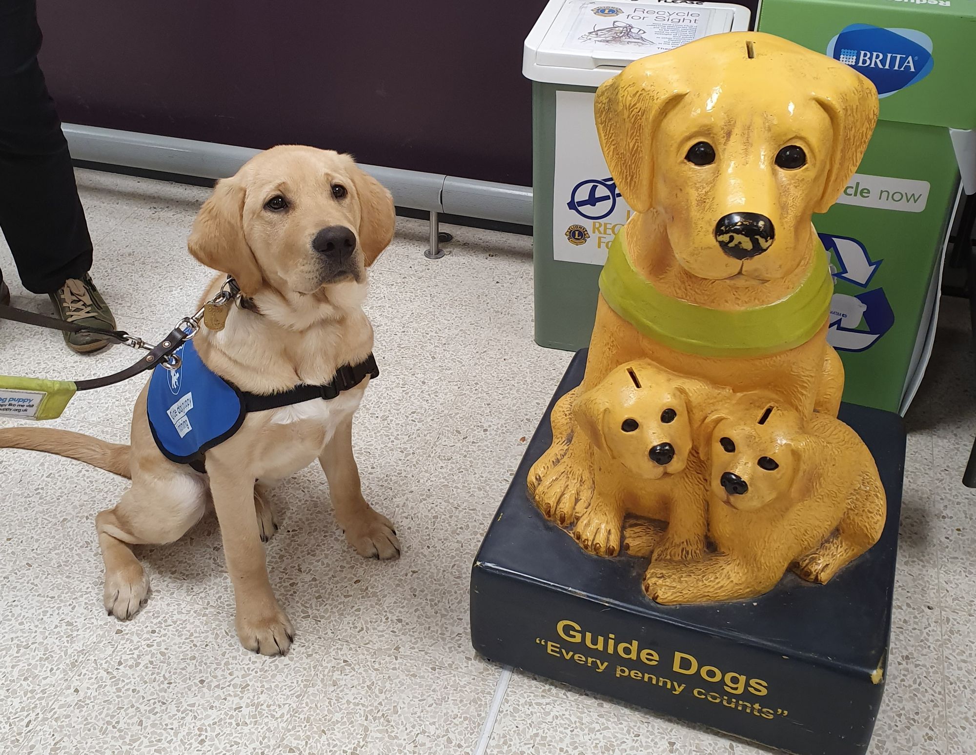 Aldershot and Farnborough Guide Dog group receives £1,000 donation