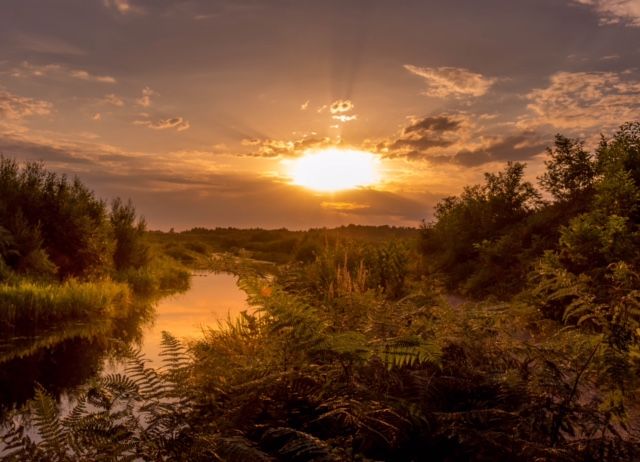 Basingstoke canal calendar featuring photographic competition winners is perfect gift for Christmas