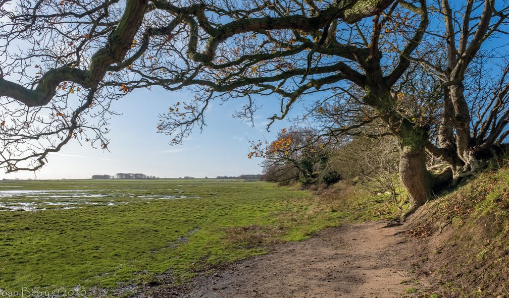 Scene By You: Photographers share their pictures of Halton