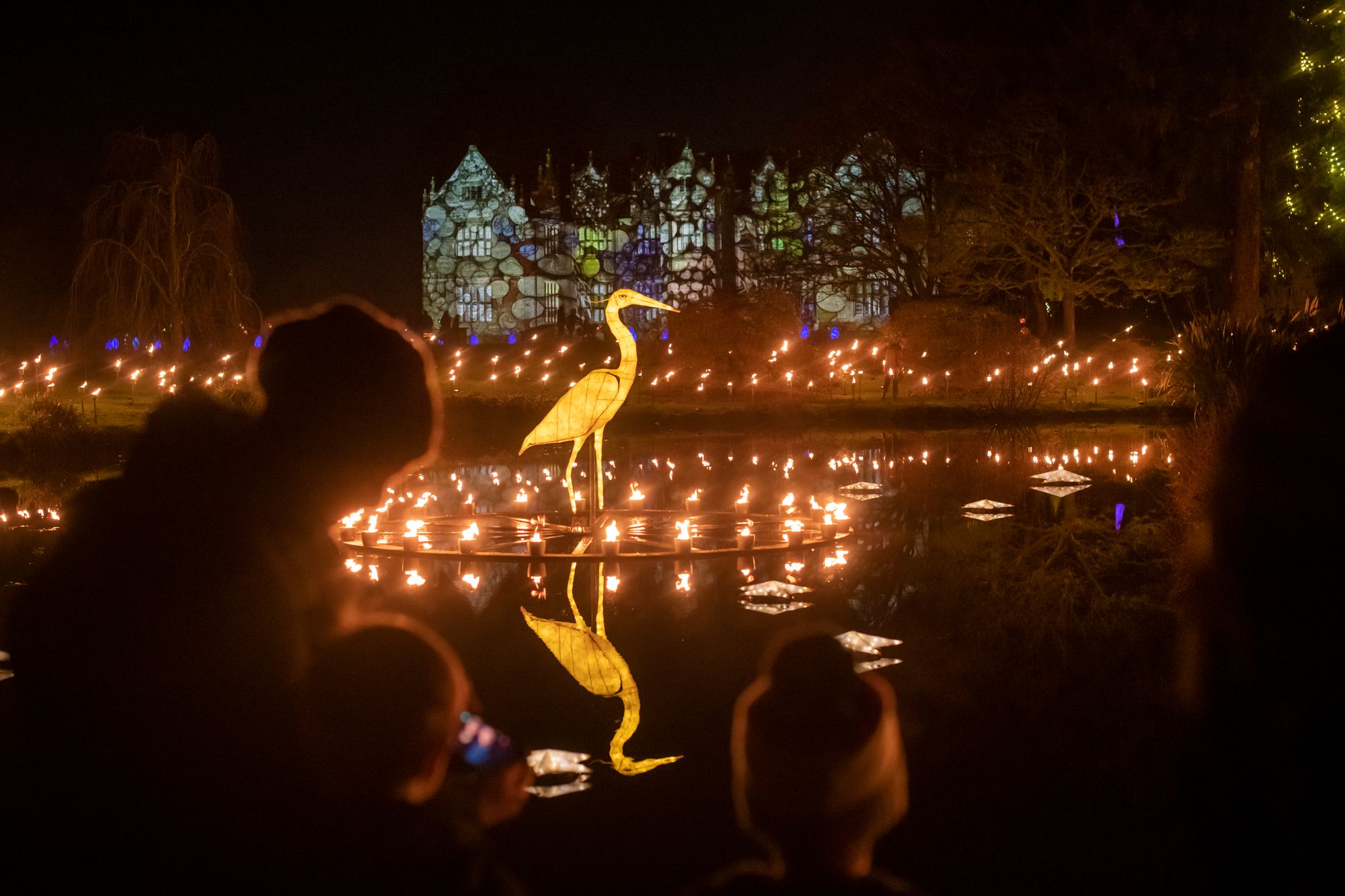 Glow wild with Wakehurst's night time nature trail