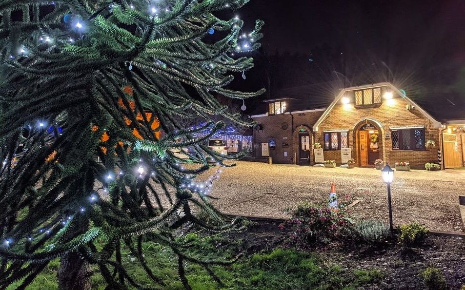Winchfield pet crematorium’s Remembrance Tree raising money for charity