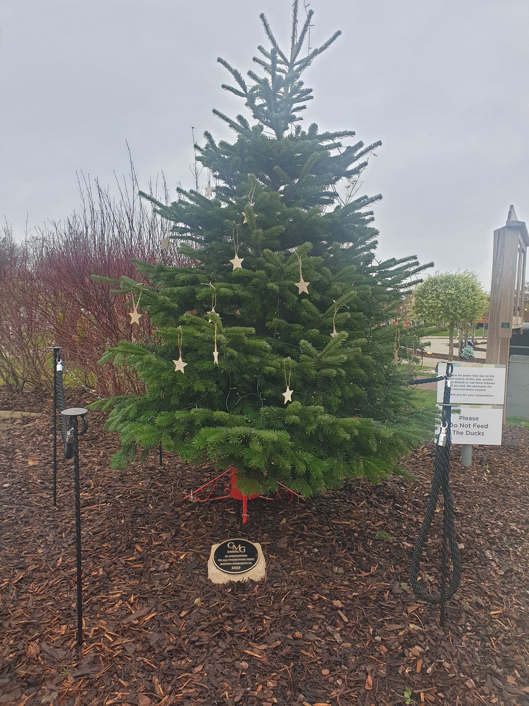 Memorial Christmas tree put up in Brentwood to remember lost loved ones