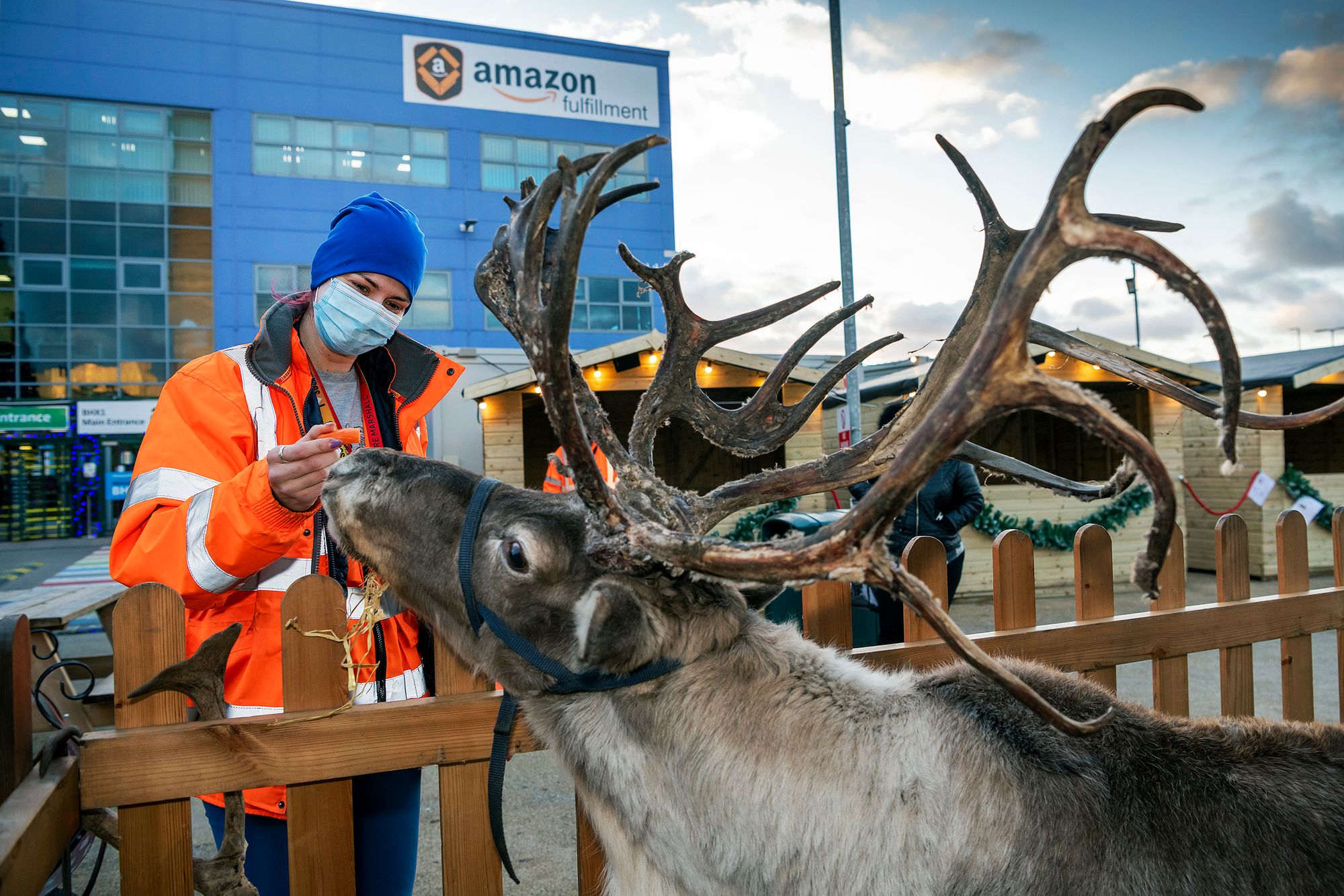 Staff at Rugeley warehouse get festive with reindeer visits and more
