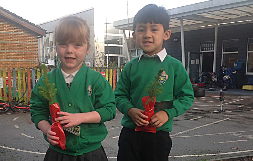 Ashford pupils celebrate green Christmas InYourArea Community