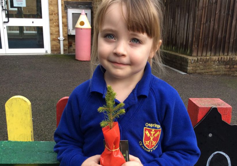 Faversham pupils celebrate green Christmas