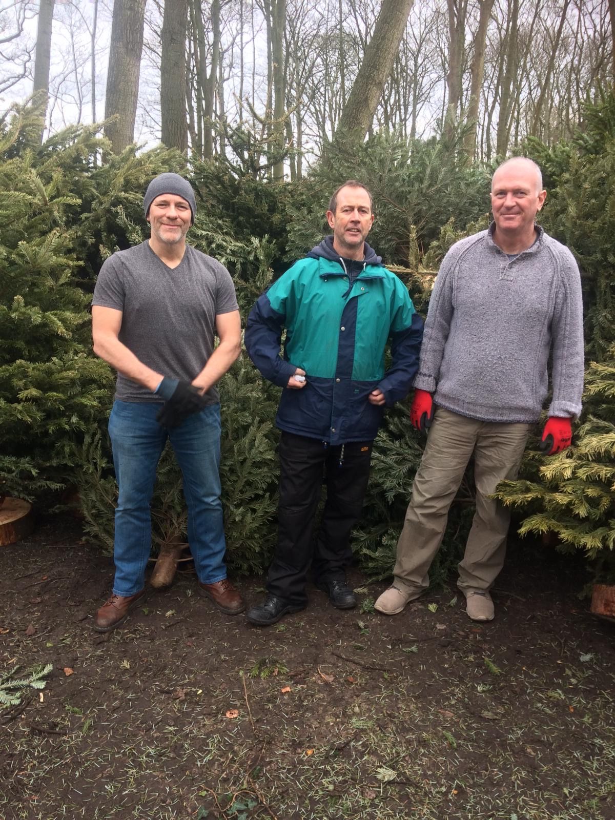 Thornton hospice offers Christmas tree collection service InYourArea
