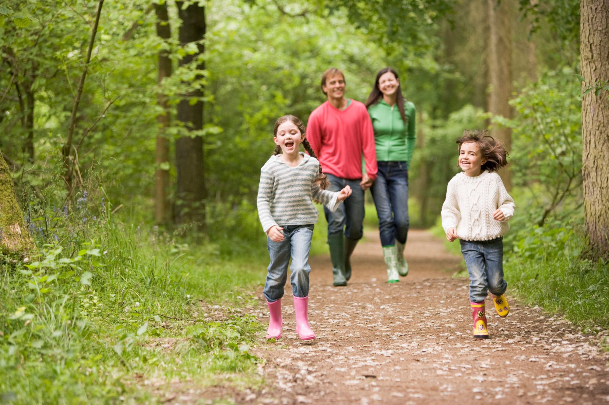 Campaign launched for Carmarthenshire tree planting effort
