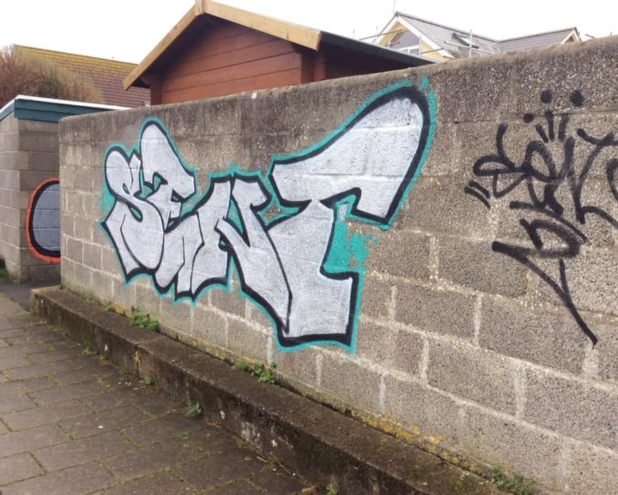 Vandals in Westward Ho! will be "watching their back" after Facebook post