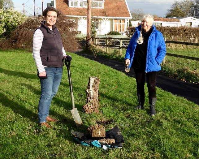 North Devon MP Selaine Saxby helps protect trees for the future