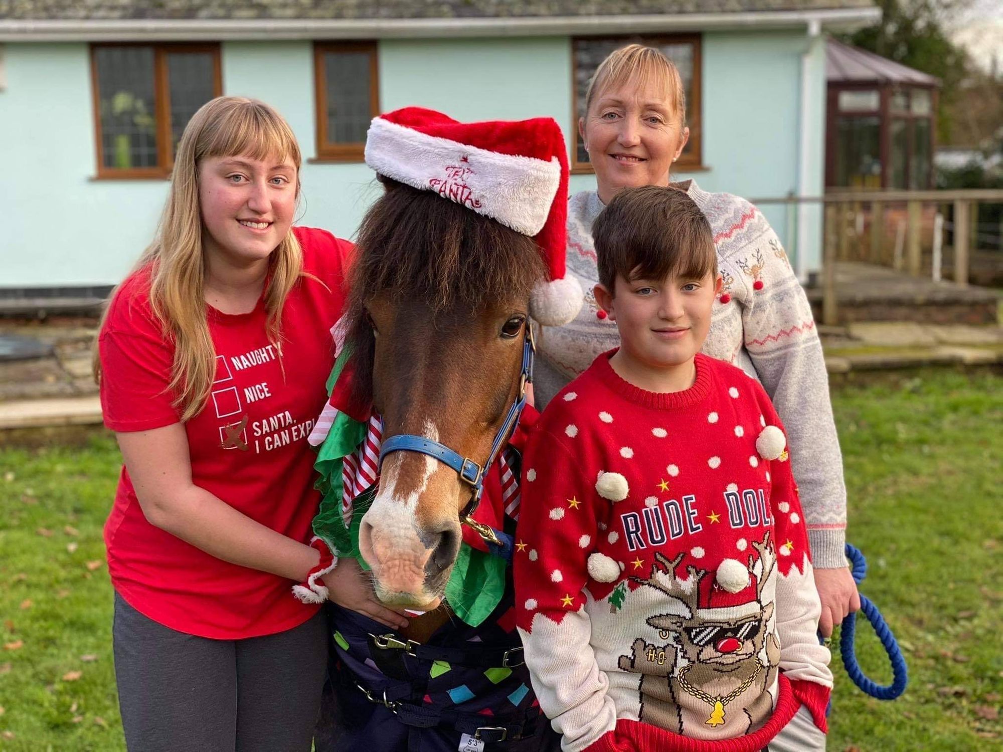 Bodmin Moor family reunited with Harry the pony after he finally flies back from New Zealand