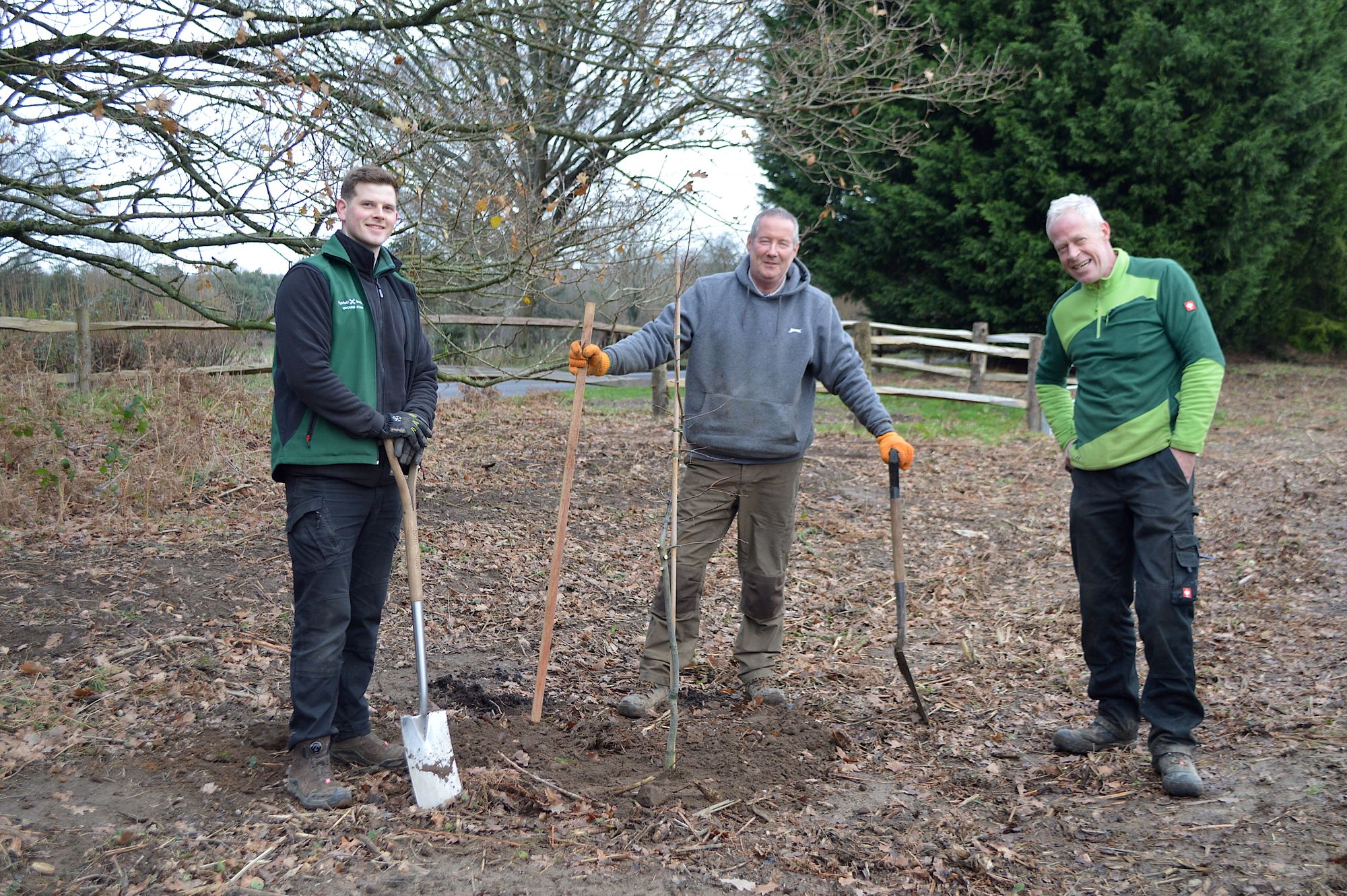 1,000 trees to be planted at Highfield and Brookham Schools