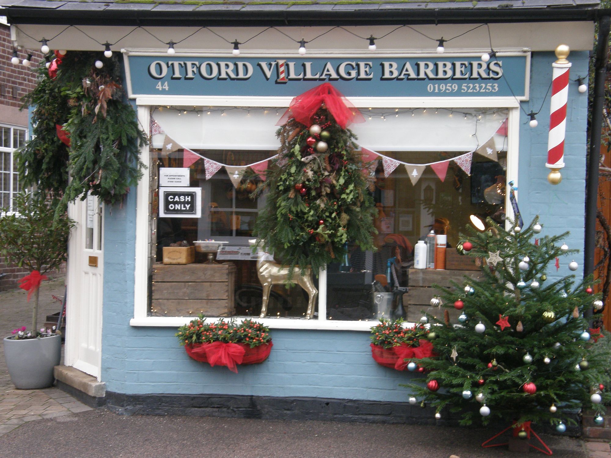 Christmas tree extravaganza brings sparkle to Otford