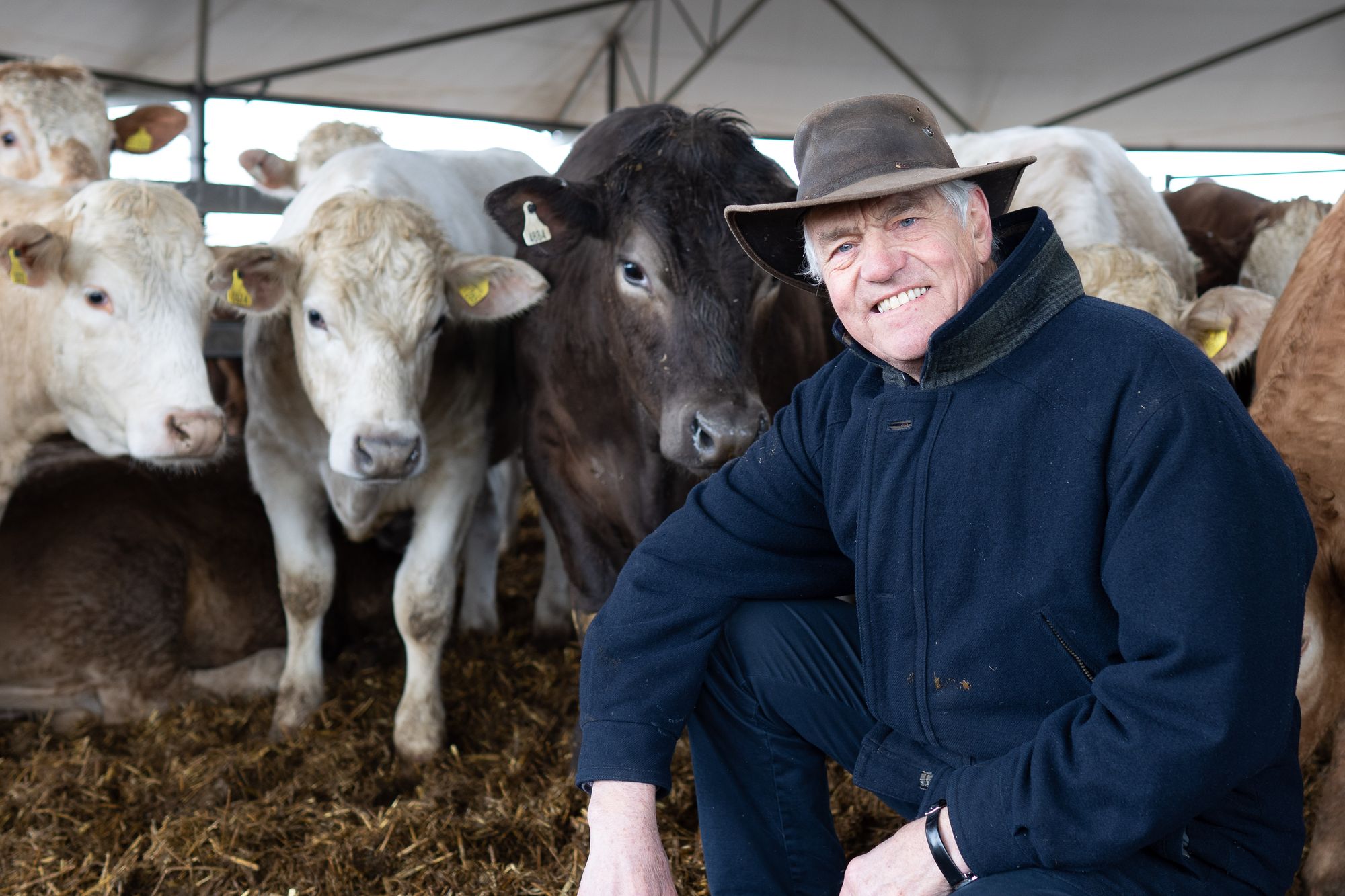 Sevenoaks farmers issue warning over Brexit uncertainty