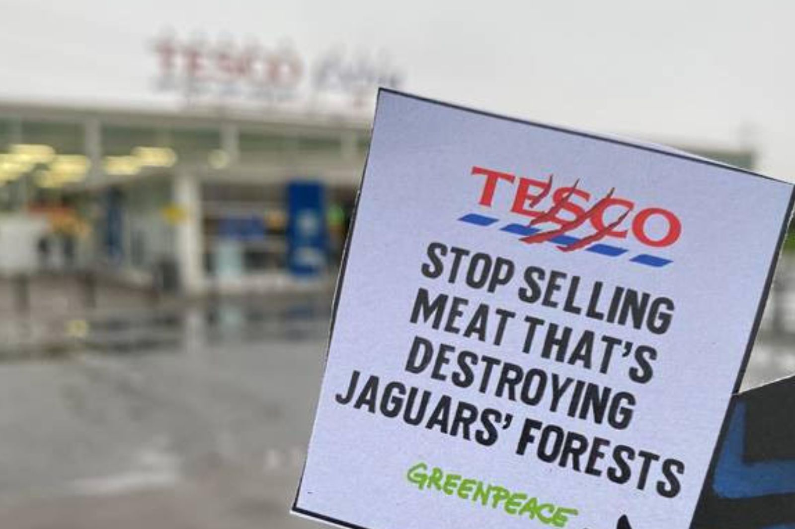 Greenpeace activists target Cardiff supermarket as part of latest campaign