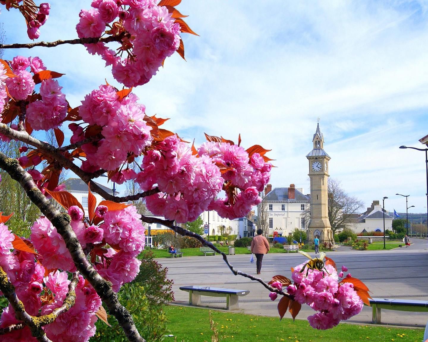 Barnstaple will bloom again as town looks to rejoin RHS scheme