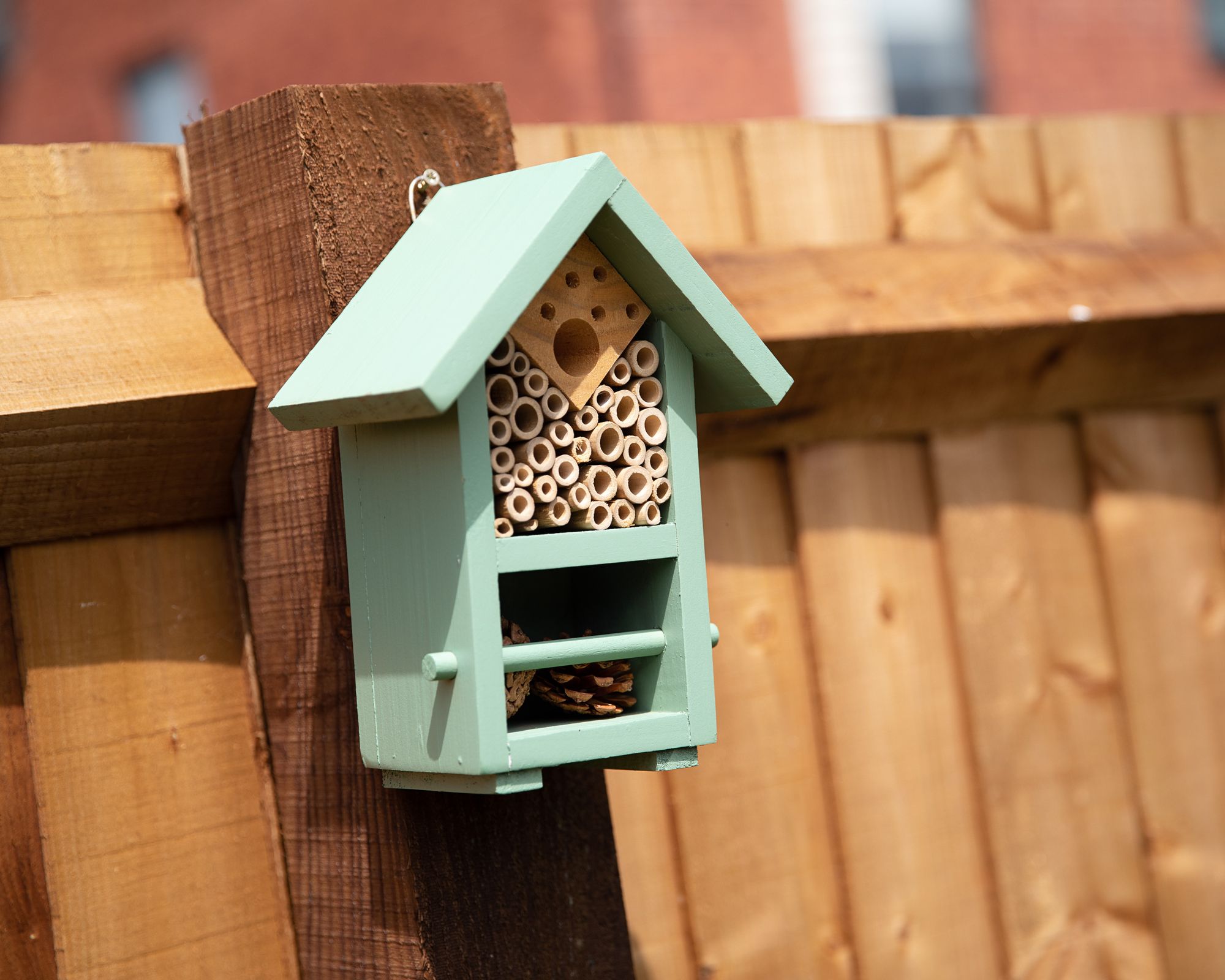 Barratt boosting wildlife with more nature-friendly housing for Devon