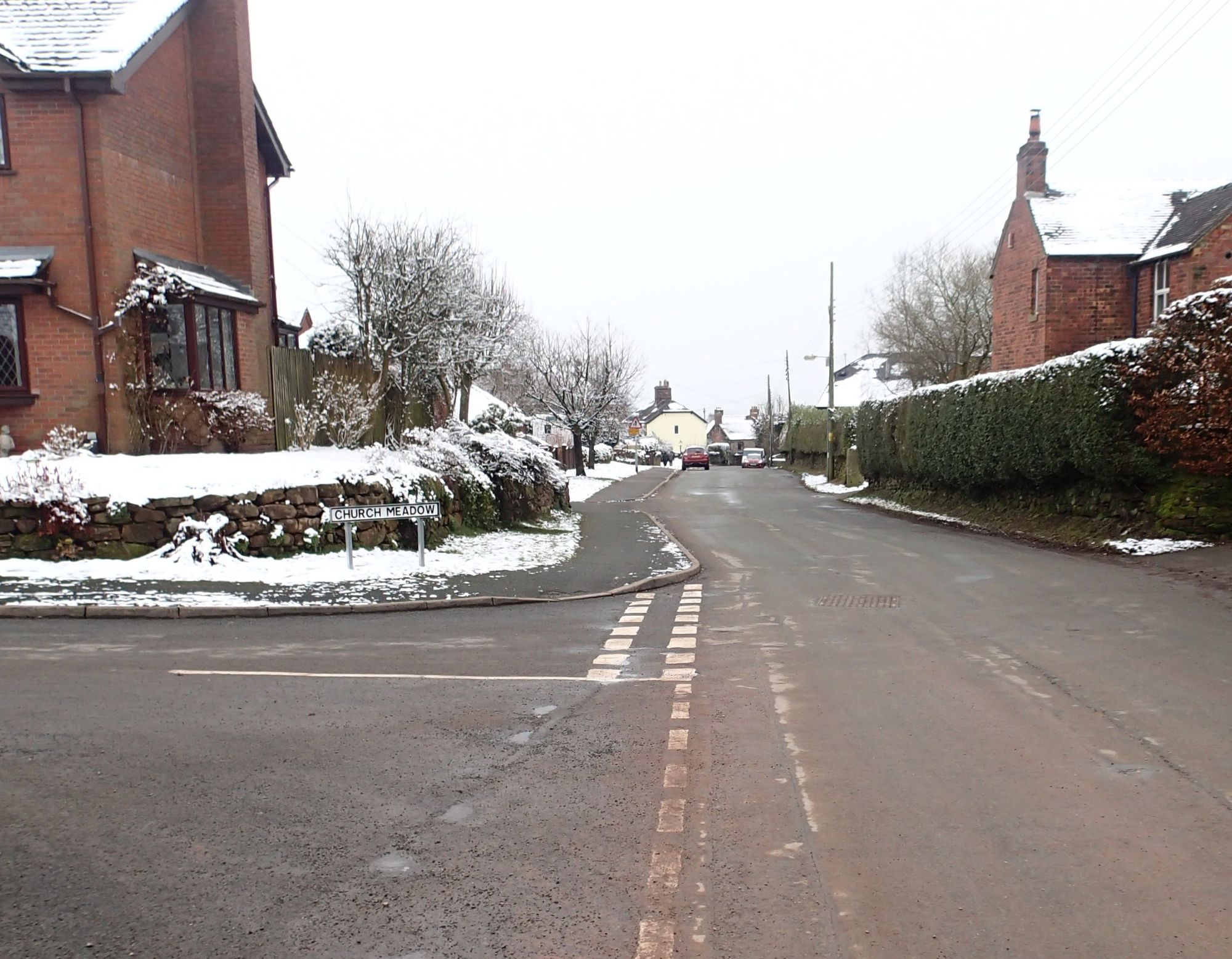 Major concerns over dog fouling in rural village