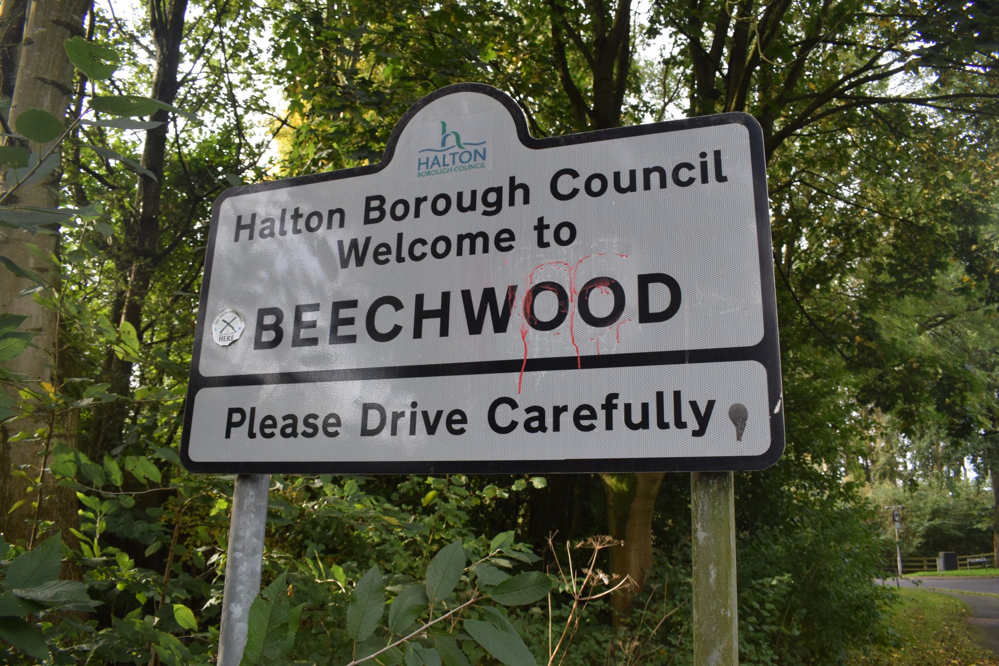 Teenager convicted over one-night crime spree in Runcorn