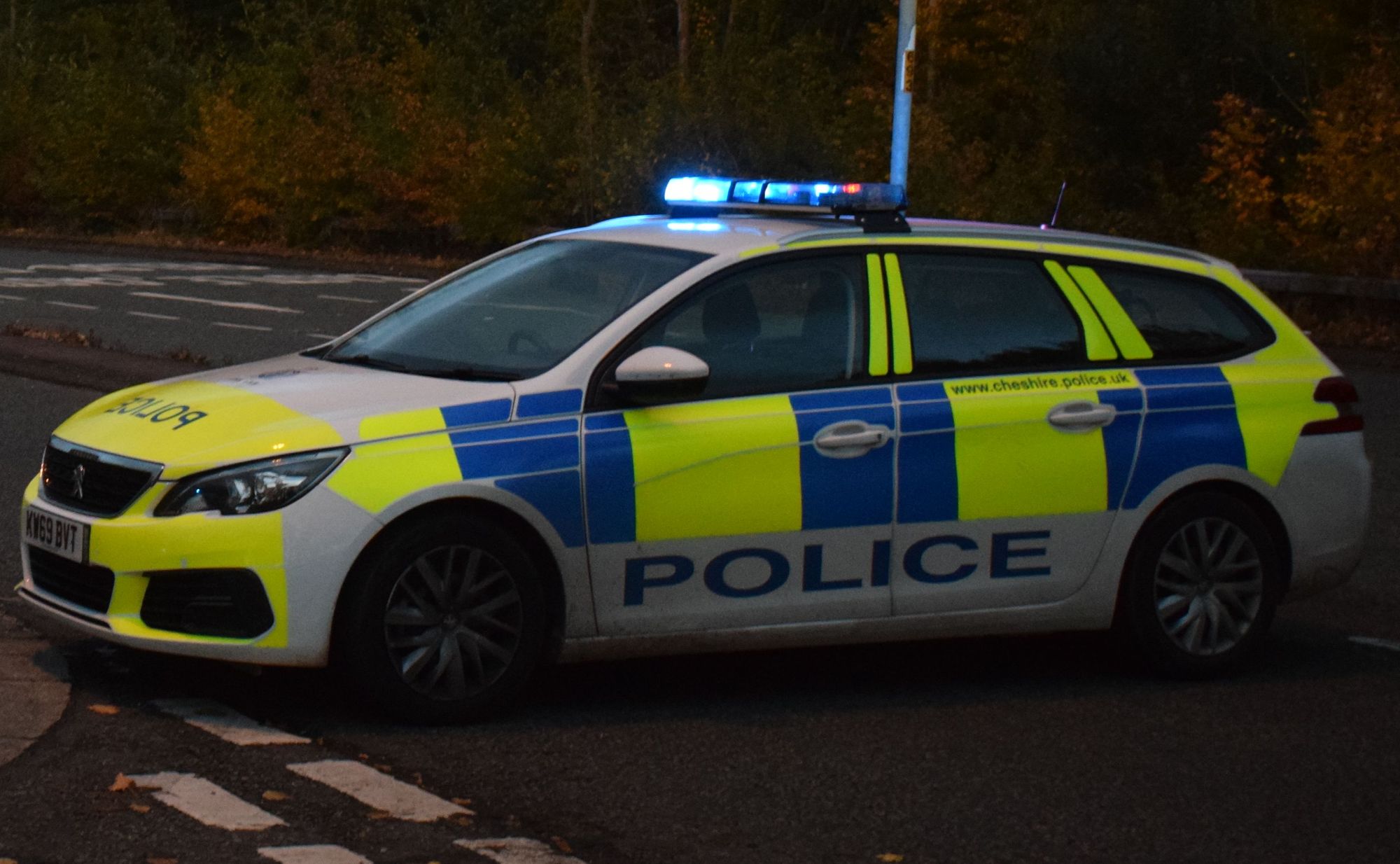 Vigilance urged after unknown male tries to lift resident's dog 'by the collar' in Runcorn