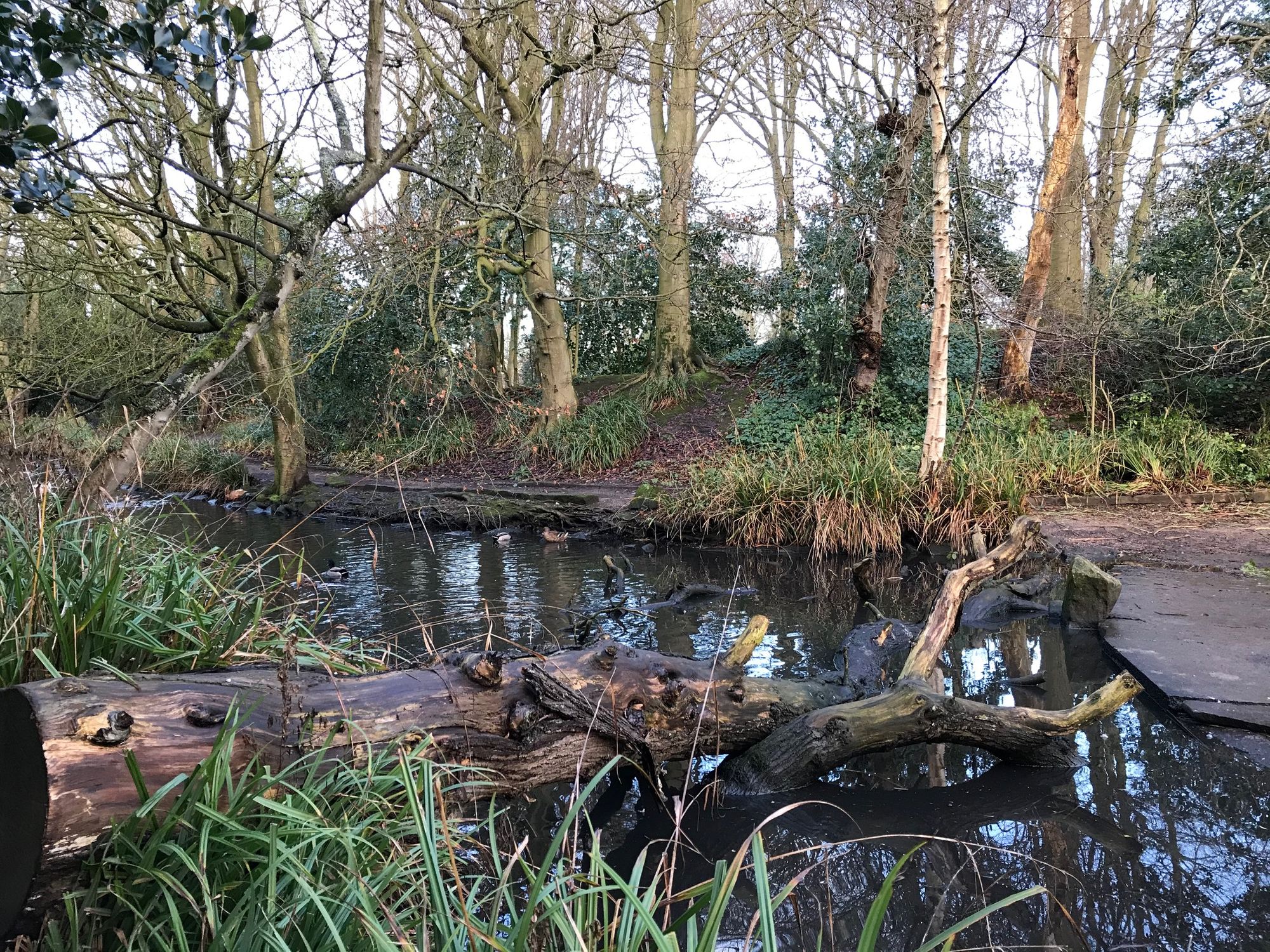 Stand Up For Southport column: Spoiled for choice with invaluable parks