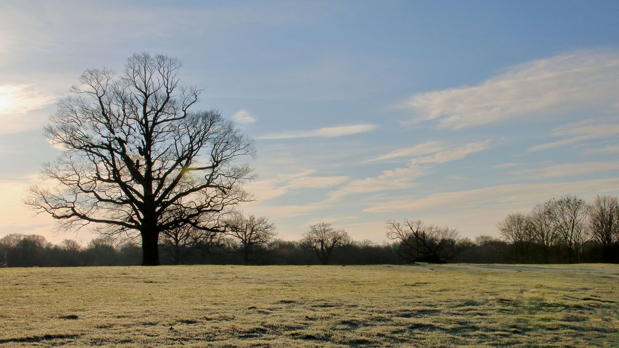 Danbury Country Park photographic walk with Ken James