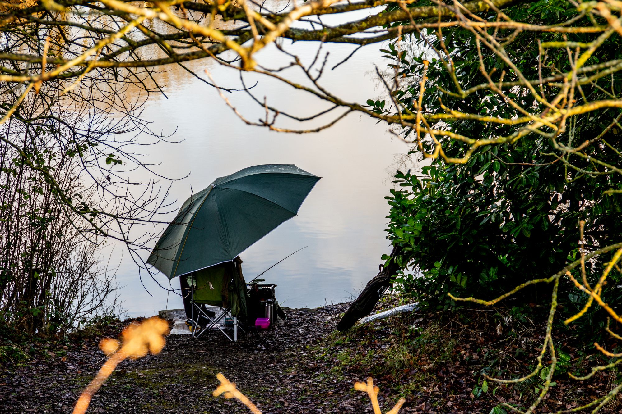Scene By You: Photographers share their pictures of Cheshire
