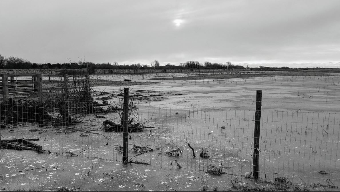 Scene By You: Pictures taken by photographers across West Lancashire