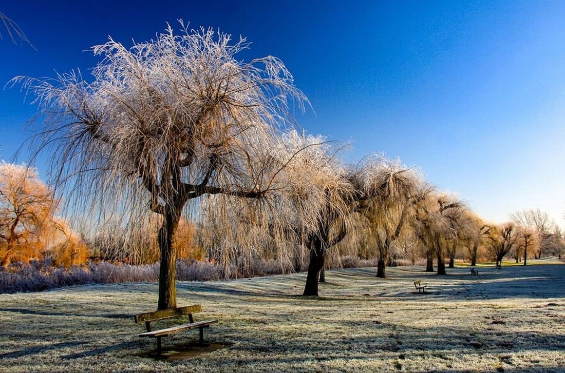 Winter inspires creativity in Thanet camera club’s competition