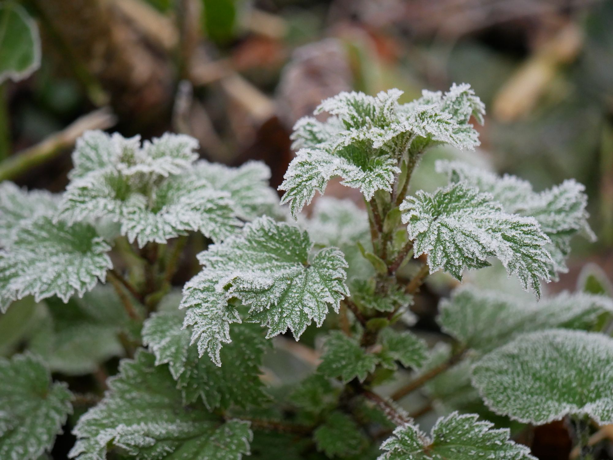 Scene By You Feb 4: Pictures of West Lancashire captured by local photographers