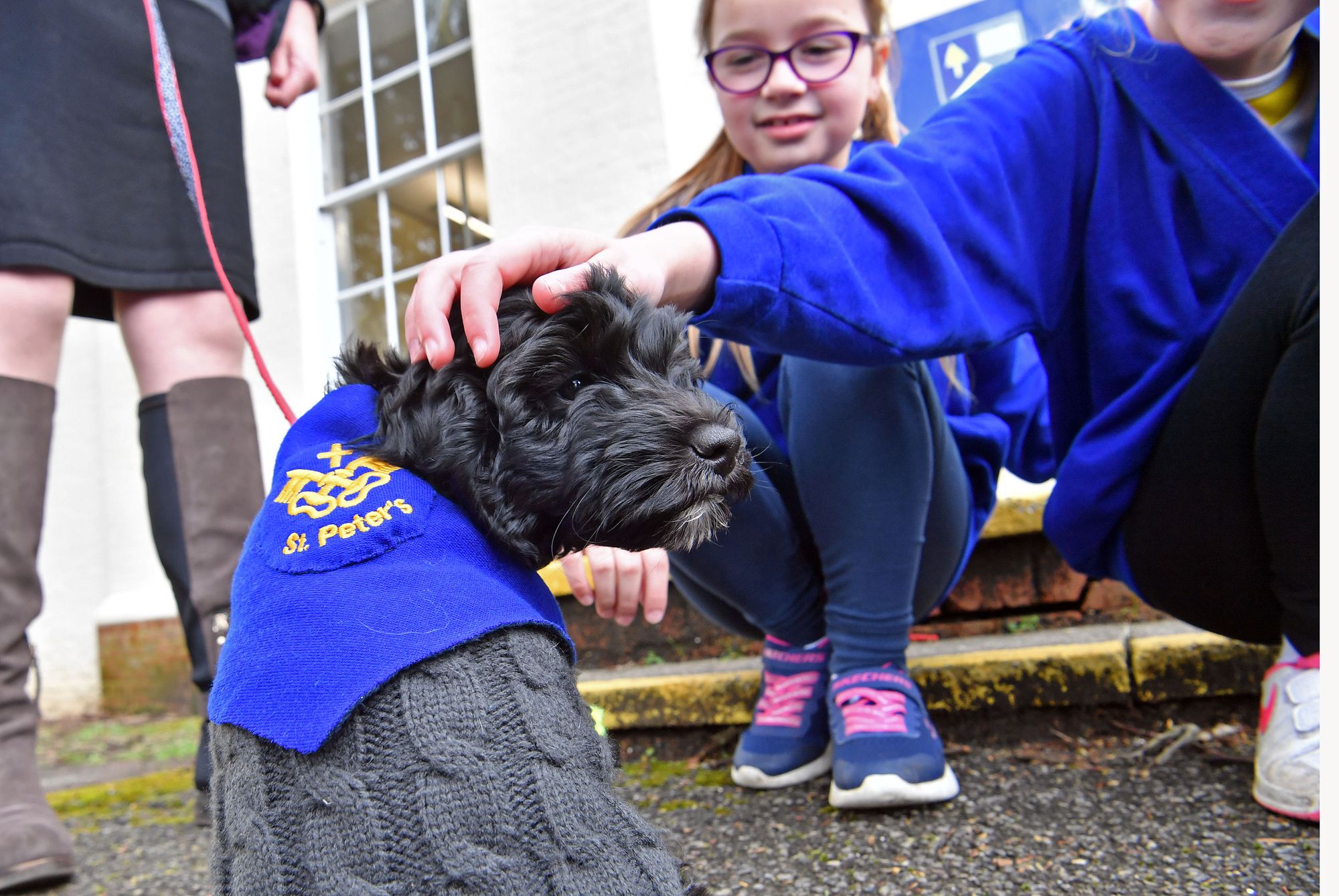 In case you missed it: Five Rushmoor stories from the past fortnight