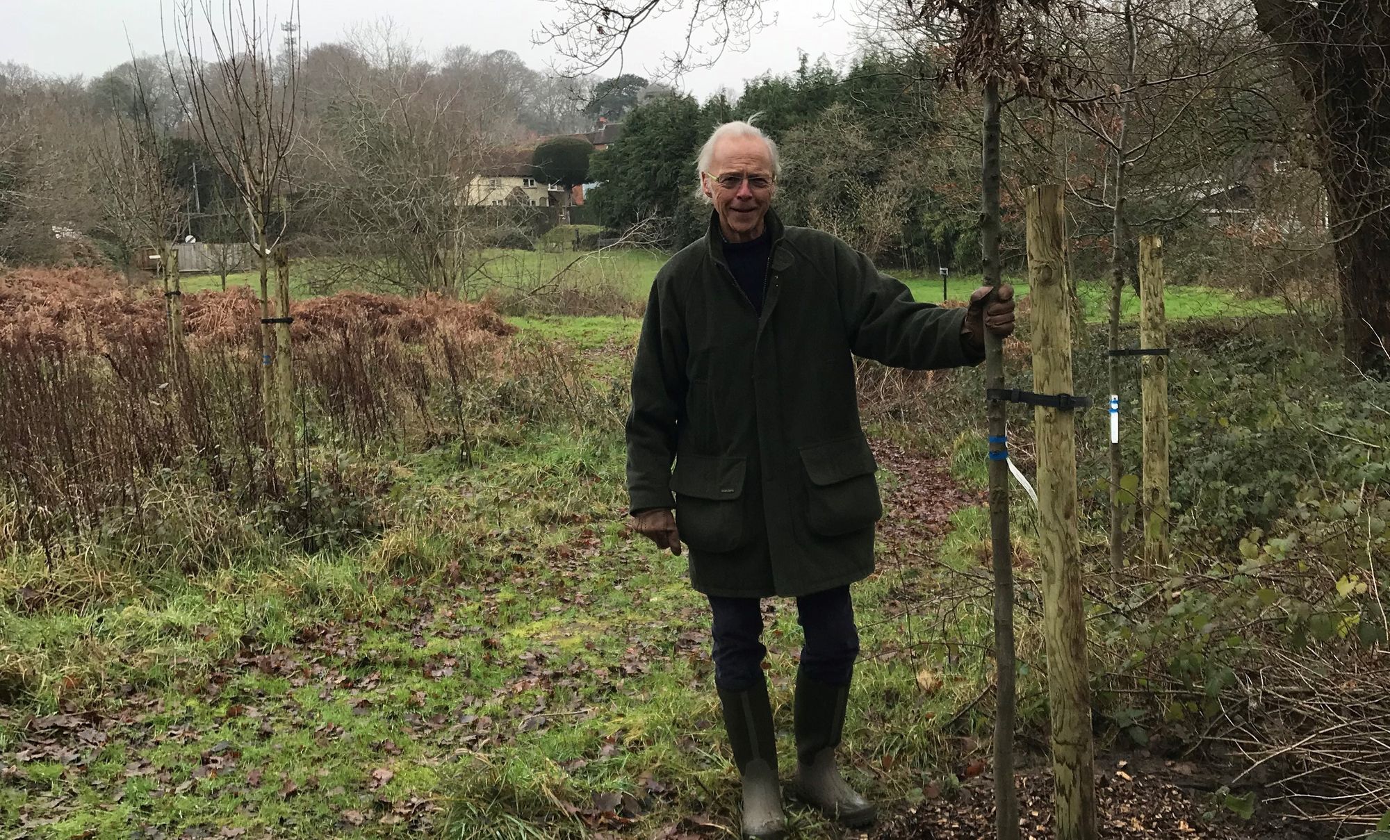 Witley Parish Council tree plantings to 'enhance open spaces' for residents benefit