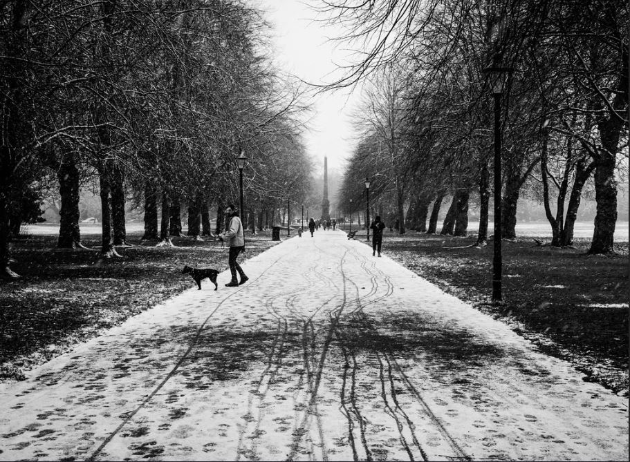 Lane's Lens - Feb 20: A look across Merseyside through the cameras of local photographers