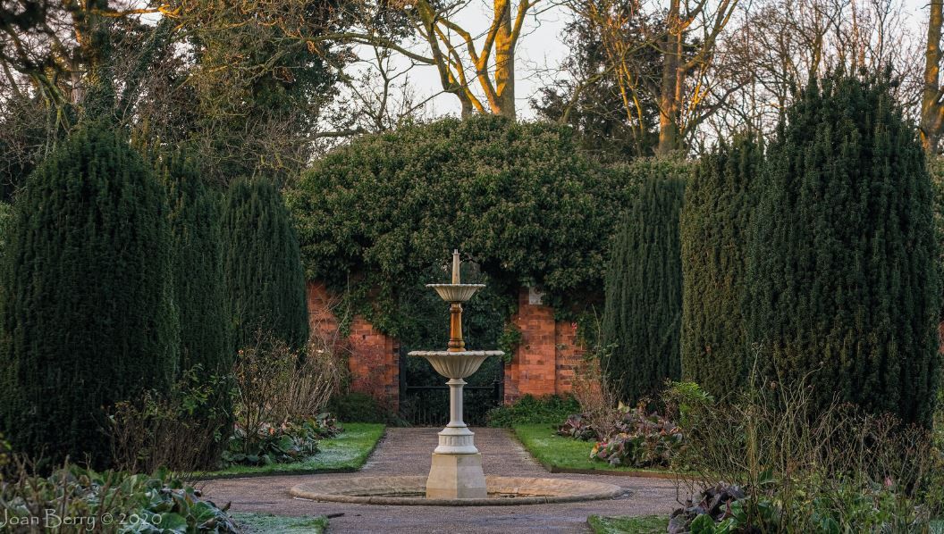 Scene By You: Local photographers share their pictures of Halton
