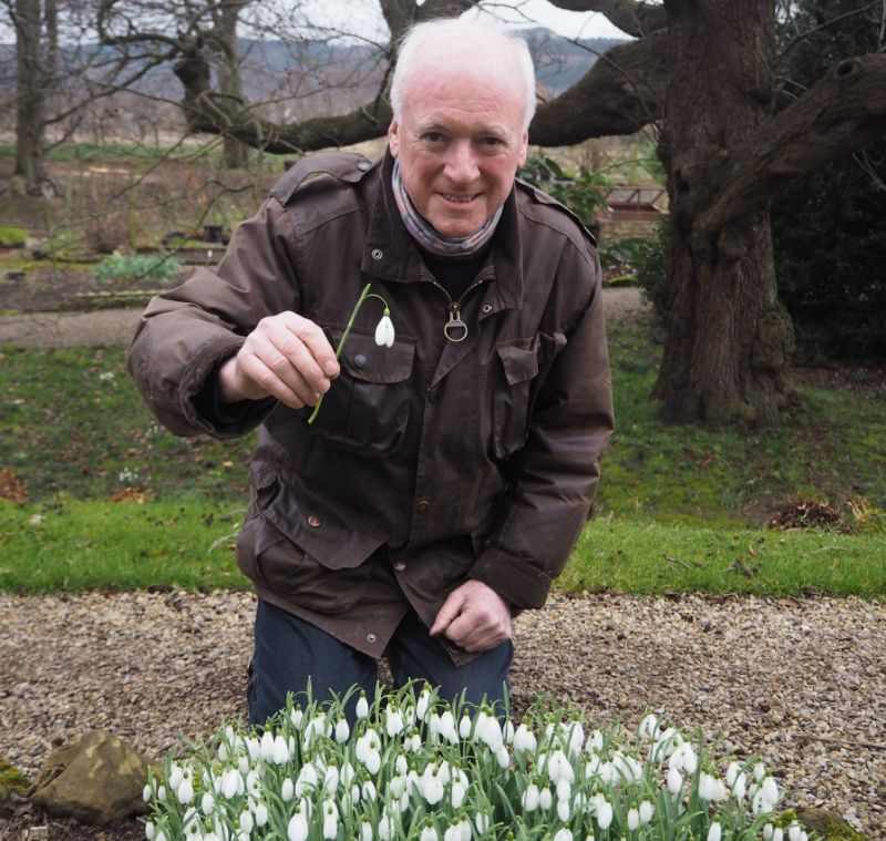 Guisborough's annual snowdrop weekend cancelled