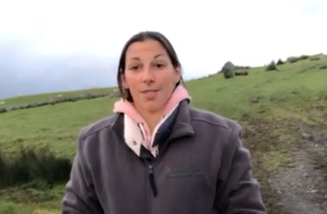 North Wales vet's advice for farmers preparing to lamb