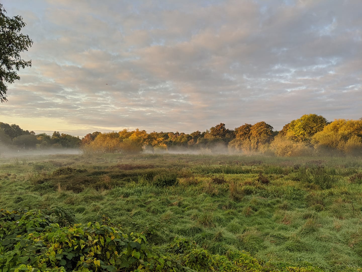 Fundraiser launched to install fencing around Hertford's newest nature reserve