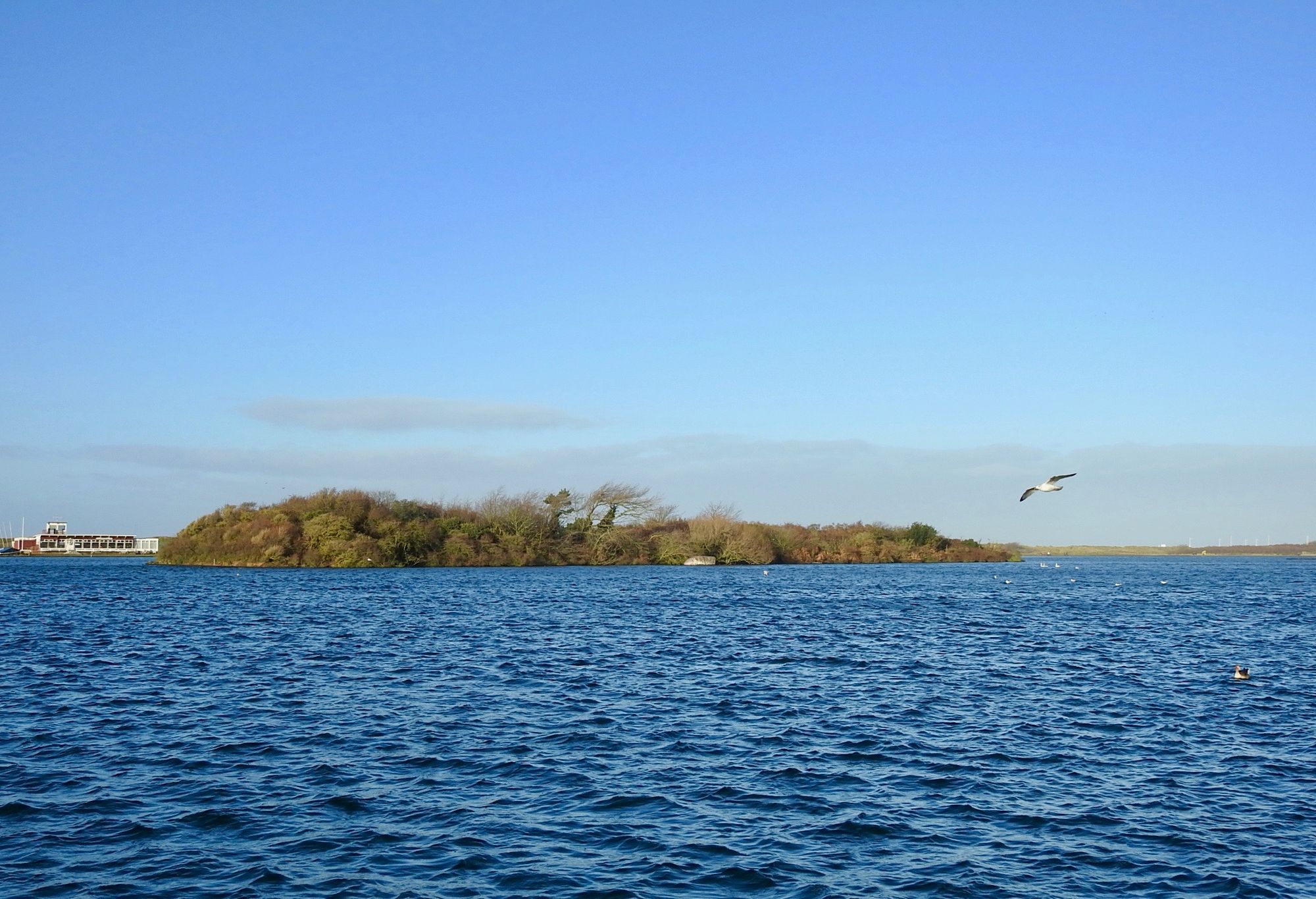 Sefton Coast column: A walk around Marine Lake, local birds and incredible flora