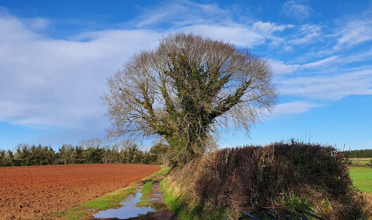 'Winwin' as Teignbridge Council takes the green route InYourArea Community