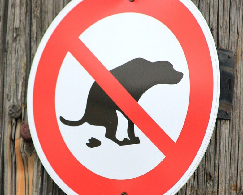 Dog poo around school and play areas prompt council to take action