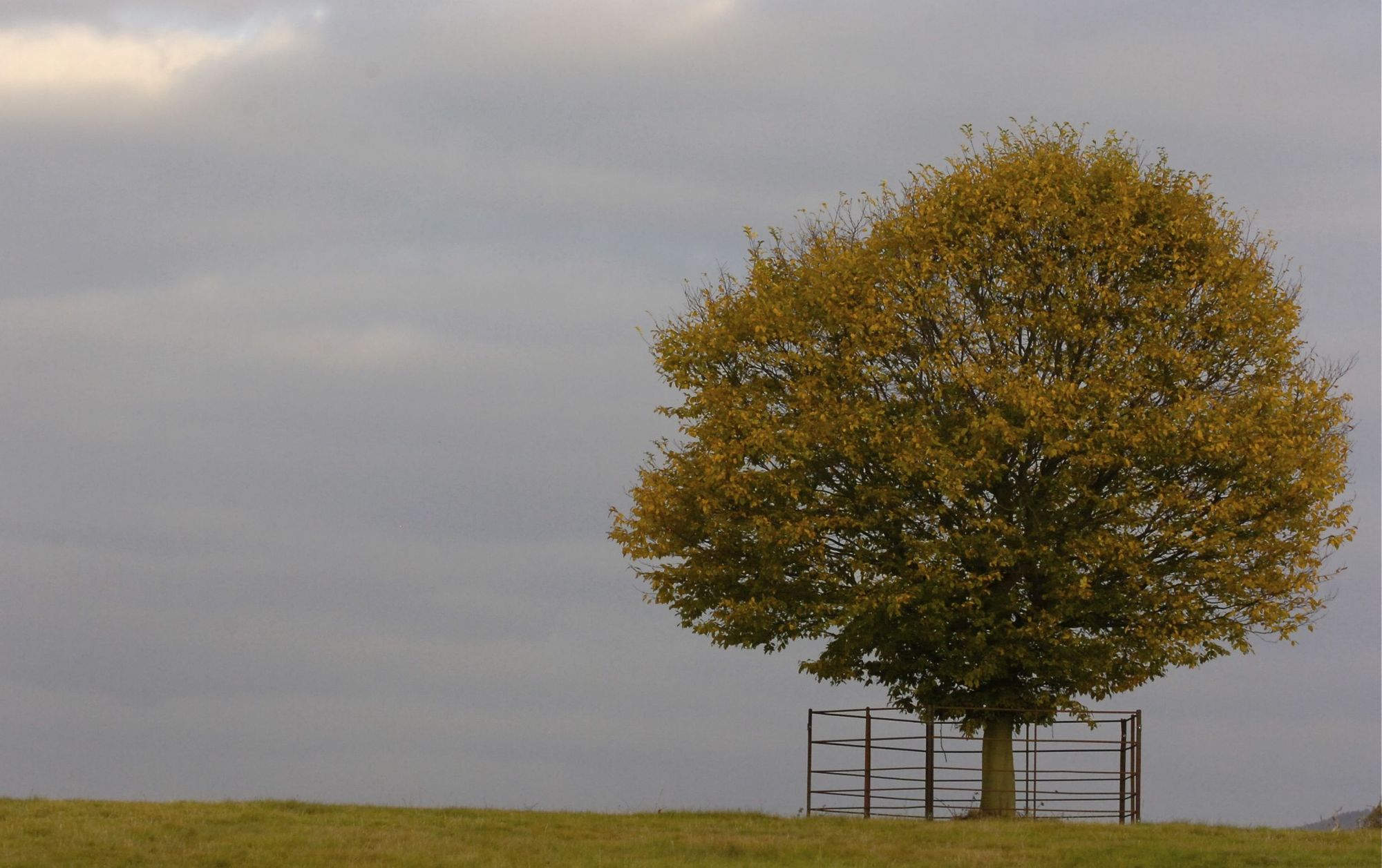 Climate change funding still available for Staffordshire projects