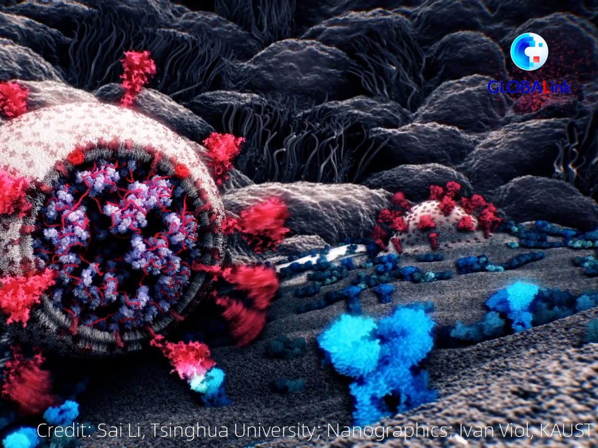 Scientists reveal what Covid-19 virus actually looks like