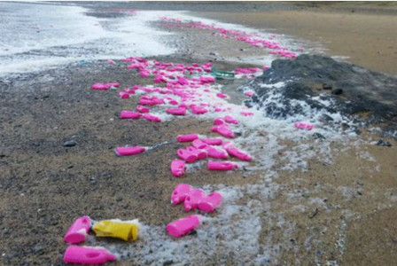 Further delays to Environment Bill  show lack of global leadership says Surfers Against Sewage