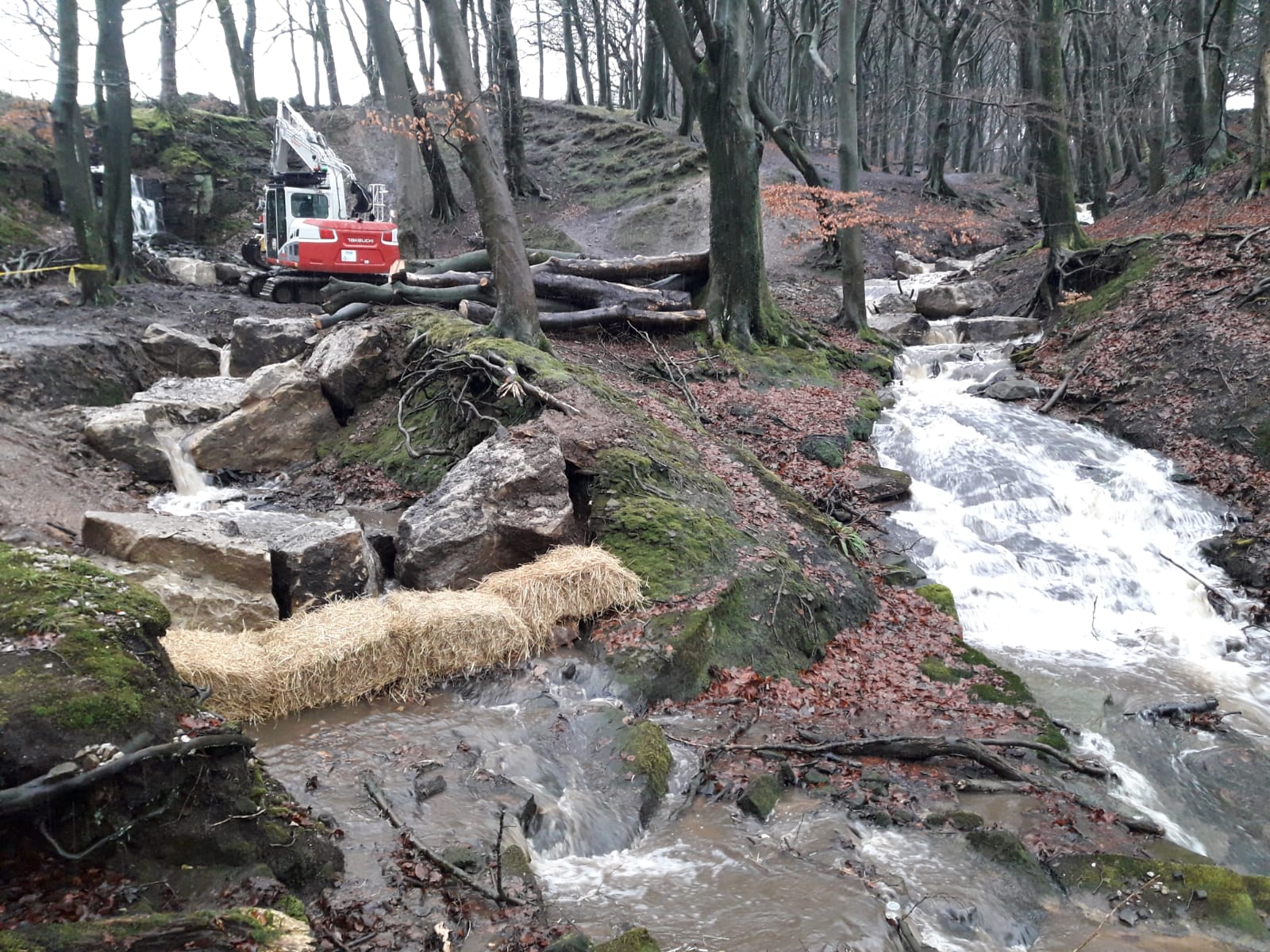 Greater Manchester beauty spot undergoes flood management