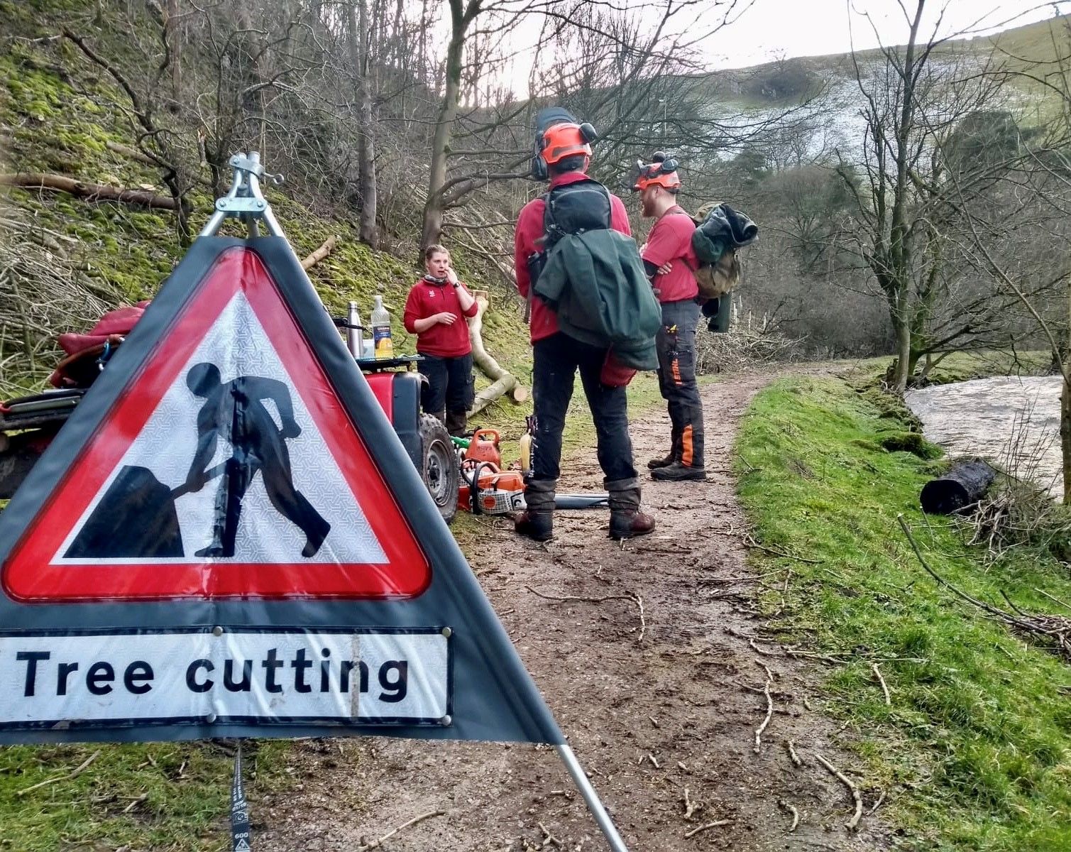 'Perfect storm' spells grim fate for most of Dovedale's trees