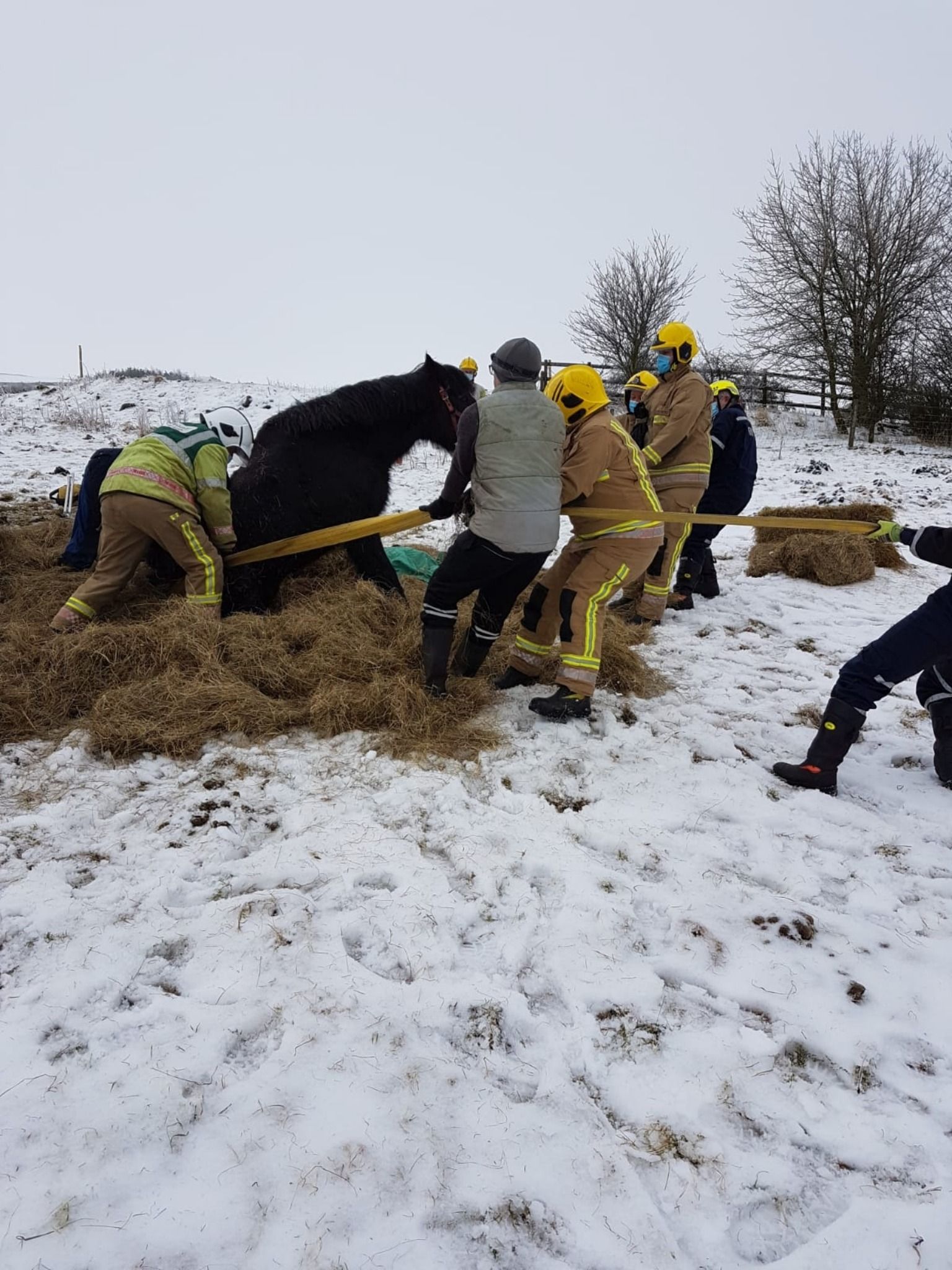 Horse rescued by Staffordshire Moorlands firefighters
