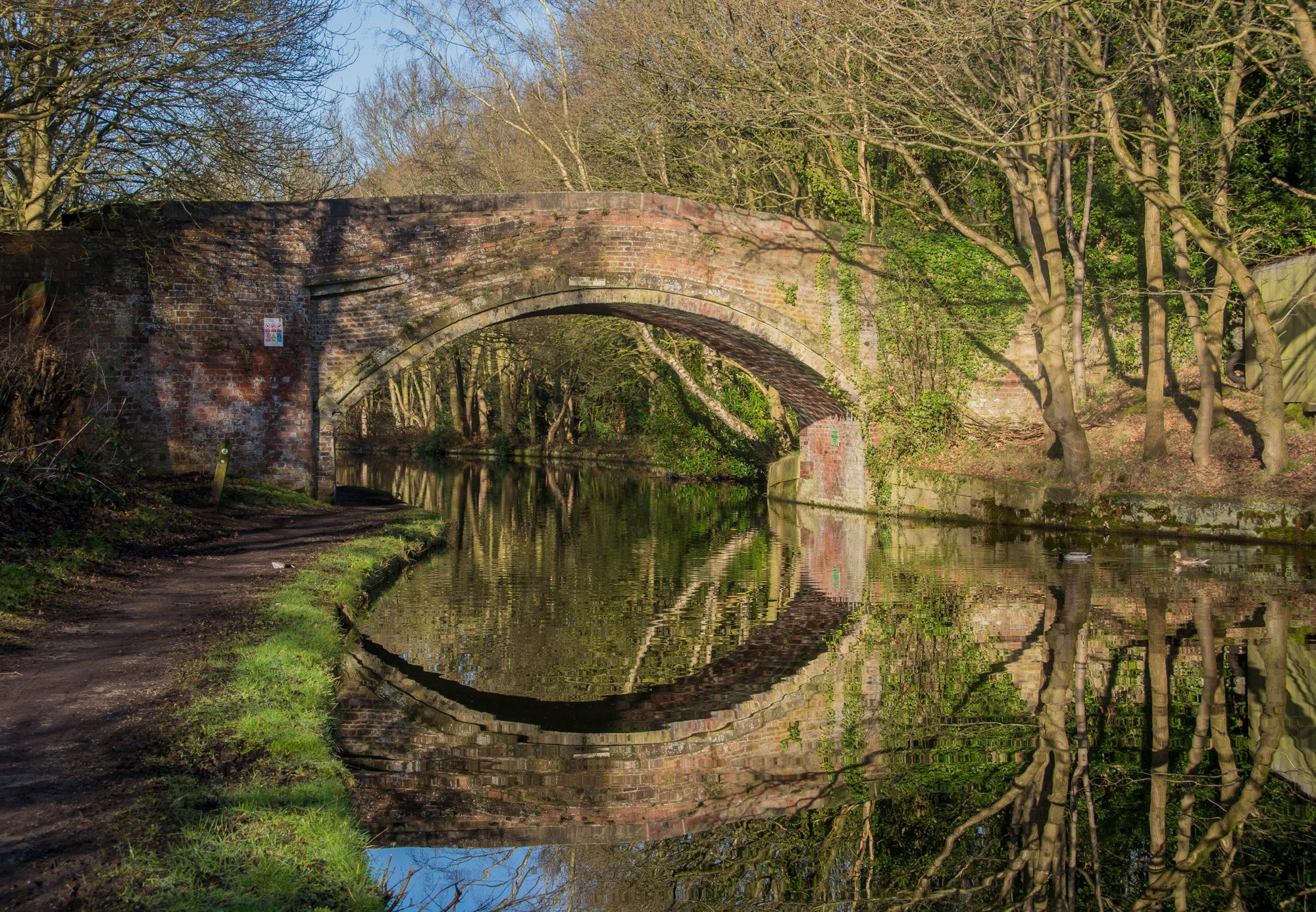 Scene By You: See our round up of pictures taken from across Halton