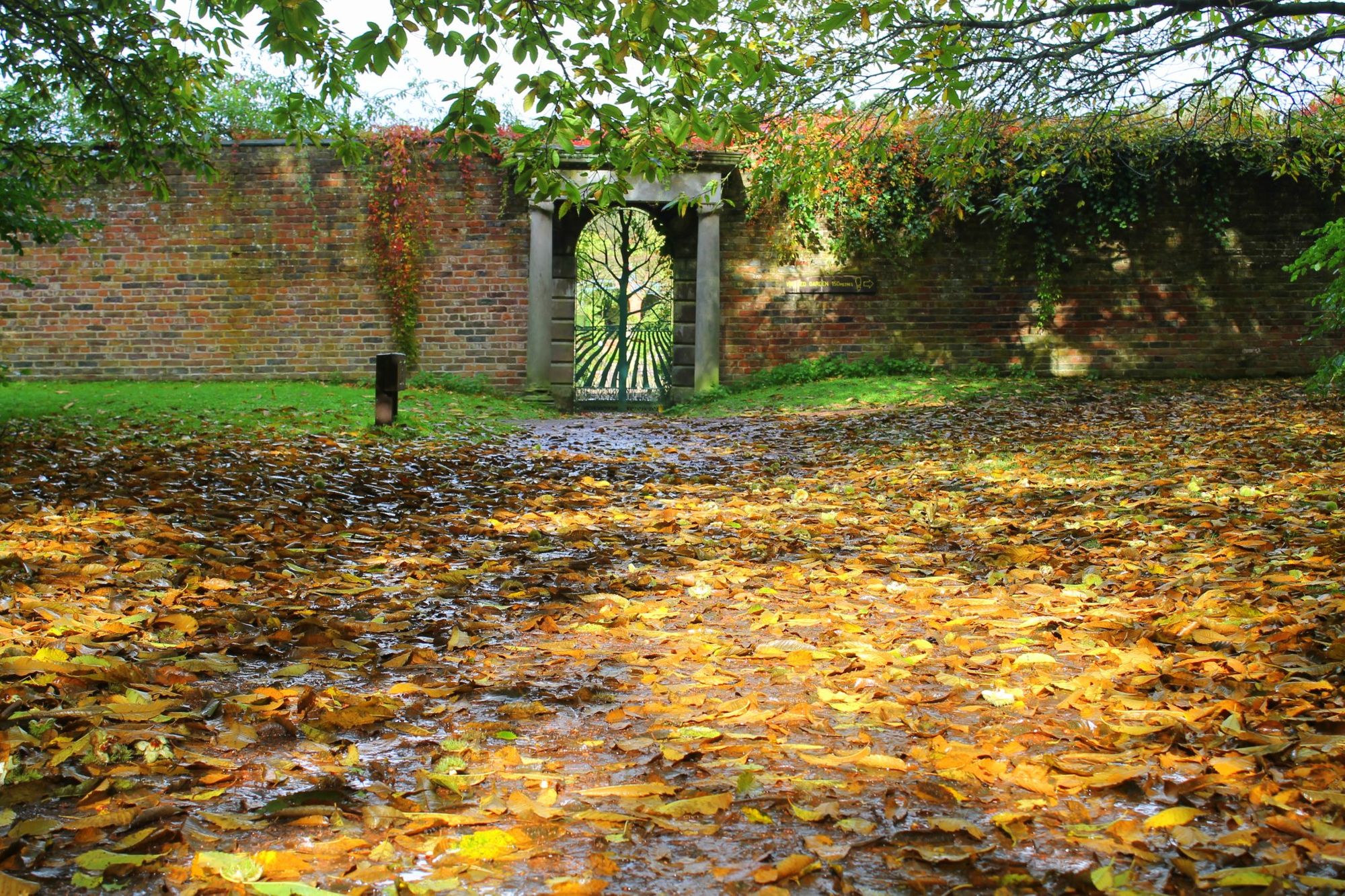 Scene By You: Our Flickr group members share their pictures taken from across Halton