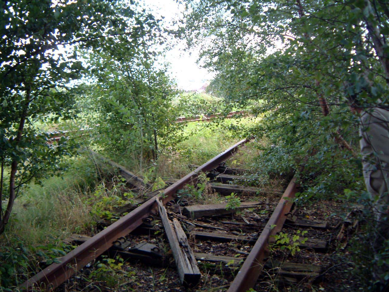 £760 million rail investment in South East offers hopes for Burscough Curves, says MP