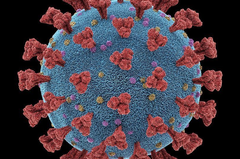 New 'potentially concerning' coronavirus mutation found in Britain